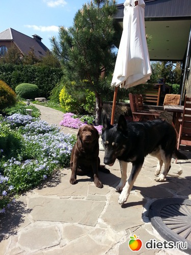 26 ����: ��� ������� �������