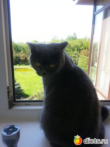 27 ����: ��� ������� �������