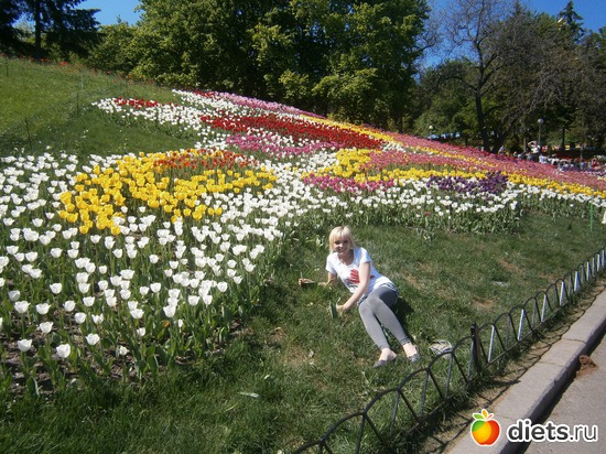 153 ����: � � �� ������