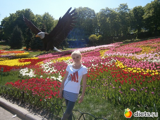 154 ����: � � �� ������