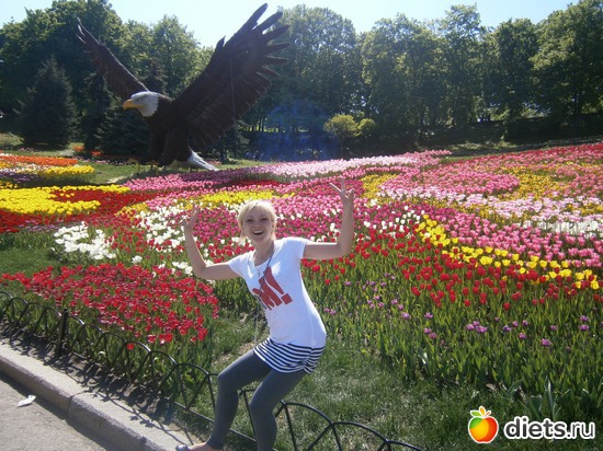 155 ����: � � �� ������