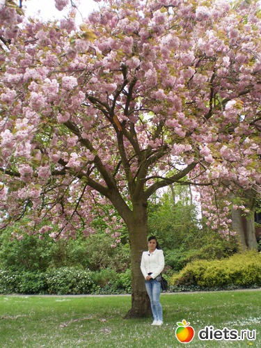 2 ����: ������ ����