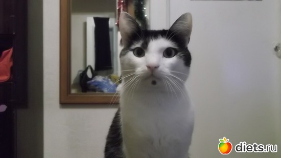 13 ����: ��� ����.