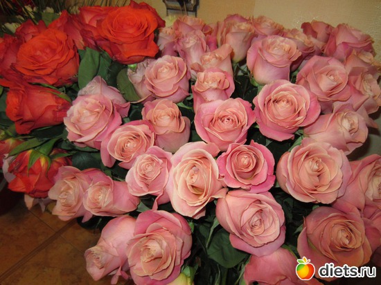 6 ����: ������....55���!!!�  ��������!!!