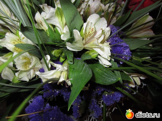 8 ����: ������....55���!!!�  ��������!!!