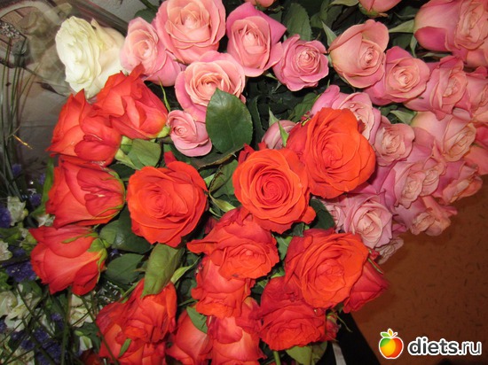 11 ����: ������....55���!!!�  ��������!!!