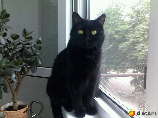 5 ����: ������ ���