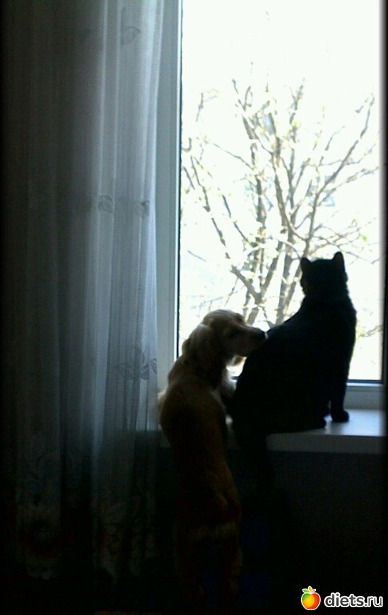 6 ����: ������ ���