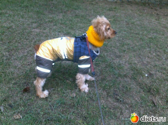 7 ����: ������ ���