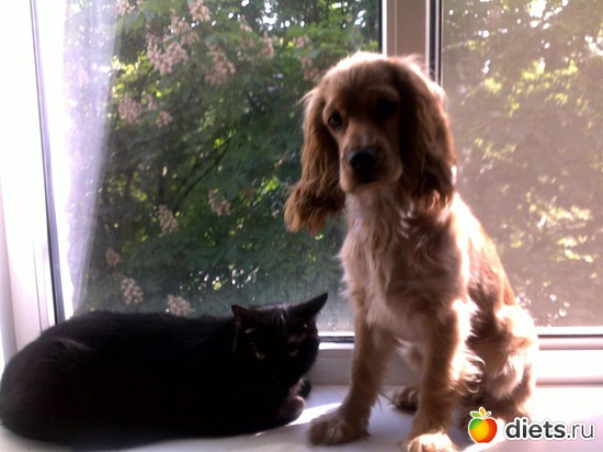 1 ����: ������ ���