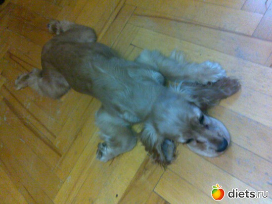 2 ����: ������ ���