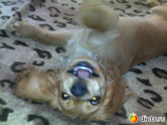 3 ����: ������ ���