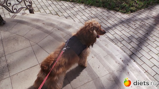 4 ����: ������ ���