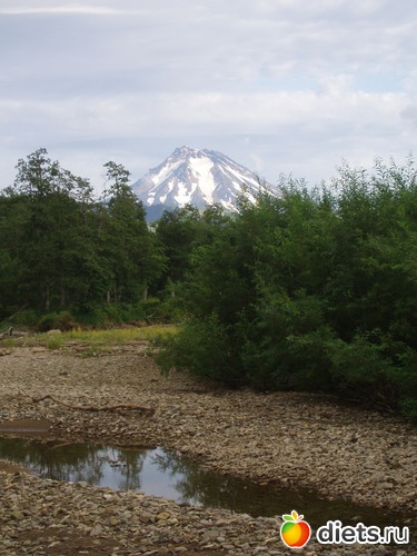 ��������, ������: ������� �����