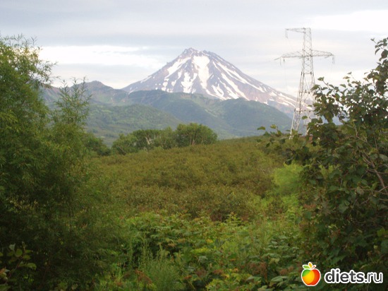 ��������, ������: ������� �����