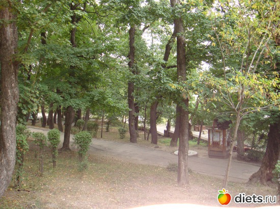 ������������ ������, ������: ������������ �����