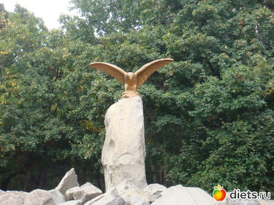 ����-������ �������, ������: ������������ �����