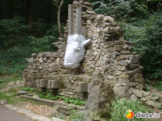 ������������, ����, ������: ������������ �����