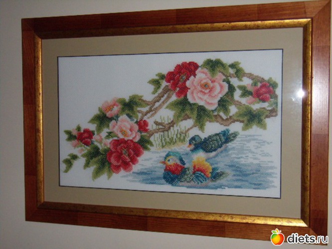 у родителей на кухне, альбом: моё хобби