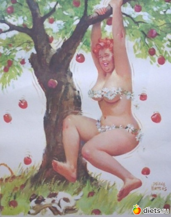 97 ����: ������