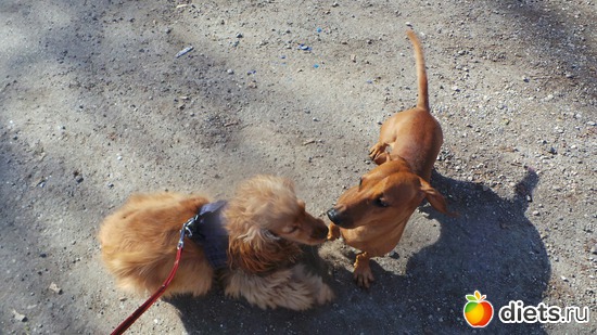 8 ����: ������ ���