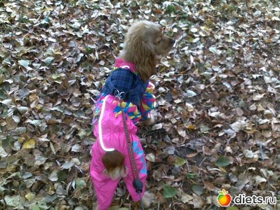 9 ����: ������ ���