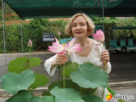 Лотос, альбом: Вьетнам