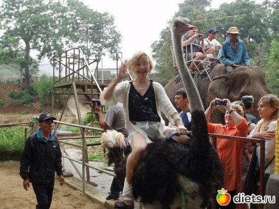 И на страусе!, альбом: Вьетнам