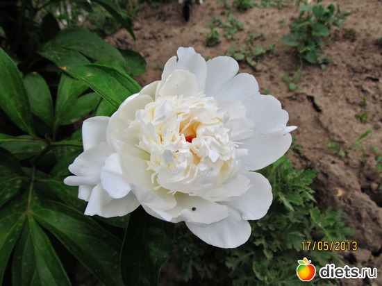 24 ����: �����-����-����� 2013 - 2015