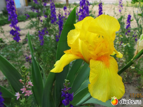 25 ����: �����-����-����� 2013 - 2015