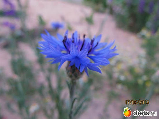 26 ����: �����-����-����� 2013 - 2015