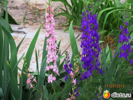 27 ����: �����-����-����� 2013 - 2015