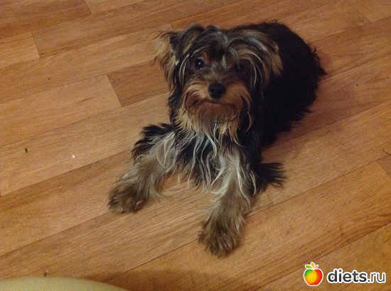 1 ����: �����