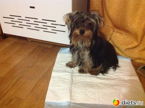 2 ����: �����