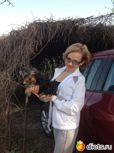 5 ����: �����