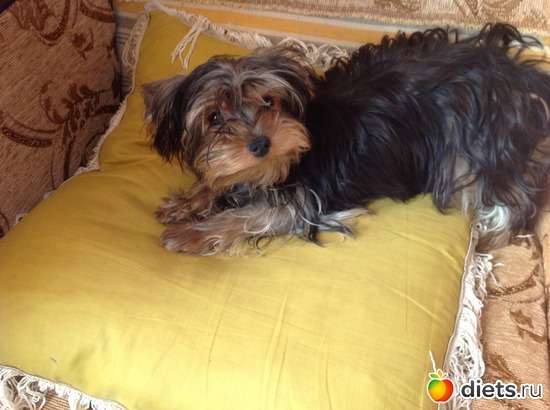 6 ����: �����