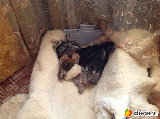 7 ����: �����