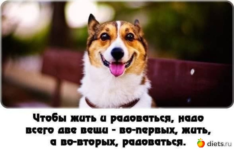 1 ����: ������