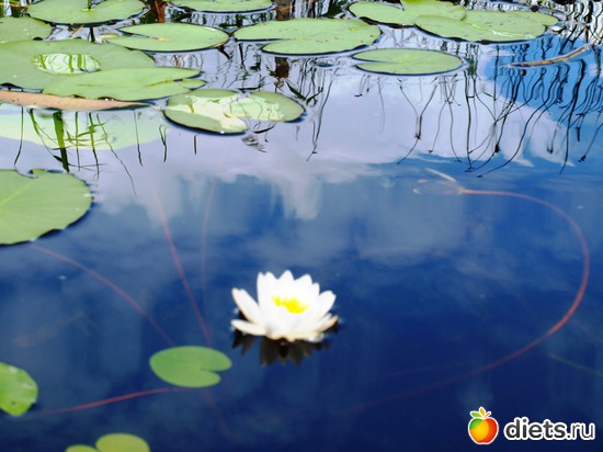 2 ����: �������