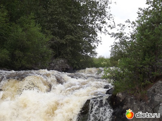 3 ����: �������