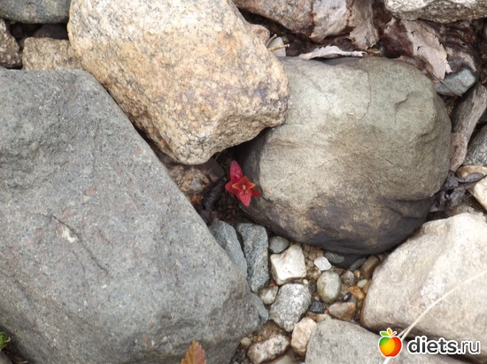 5 ����: �������