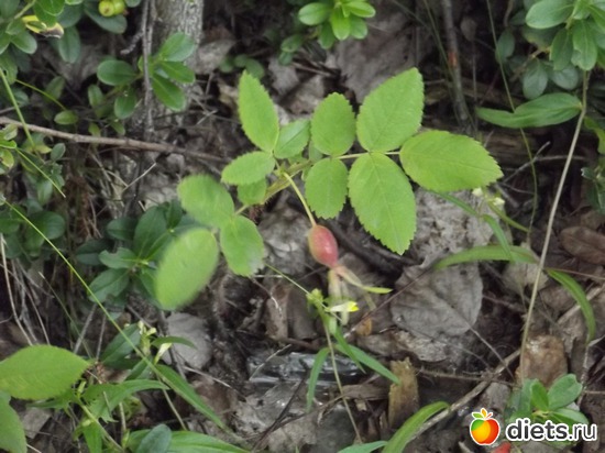 7 ����: �������