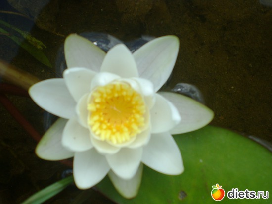 9 ����: �������