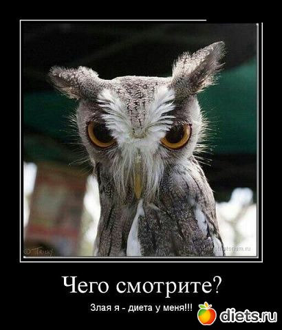 ����������:)