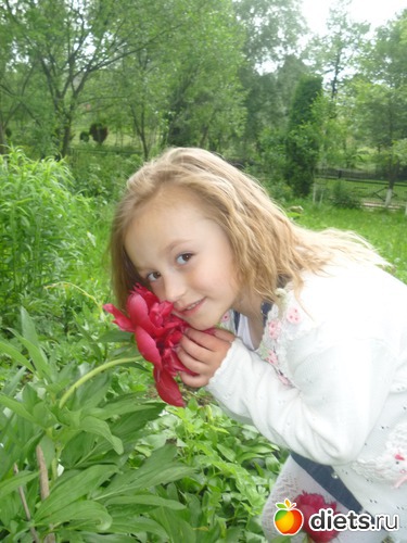 1 ����: ��� �������