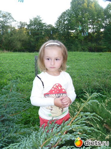 5 ����: ��� �������