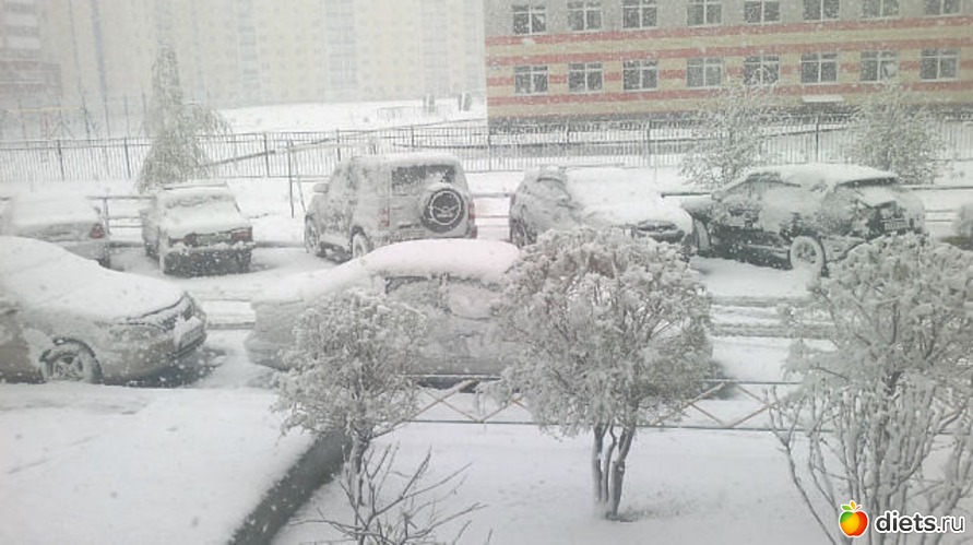 8 фото: Барнаул