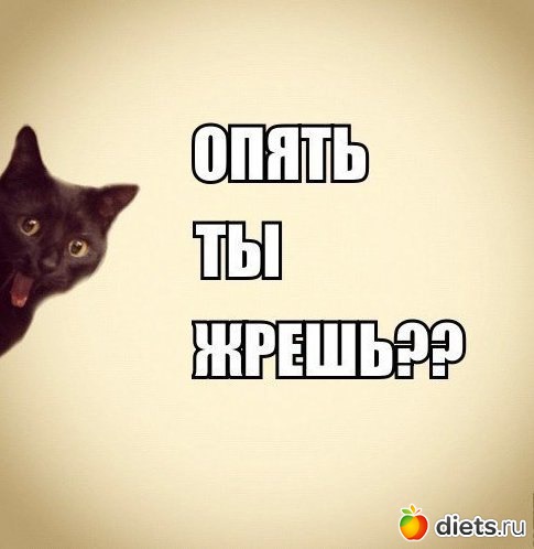 ���� �������� �� �����������)