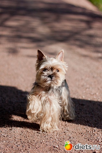 8 фото: Иногда я