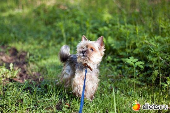 9 ����: ������ �